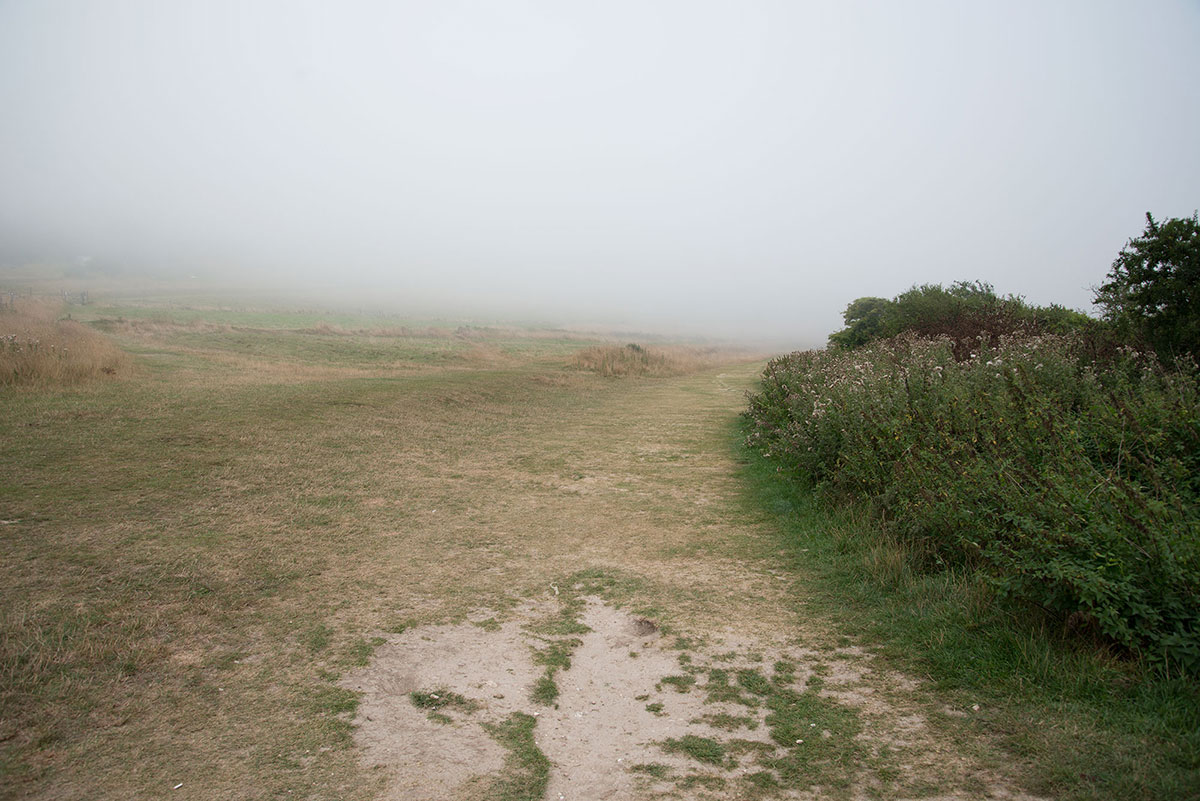 DSC_6493r.jpg