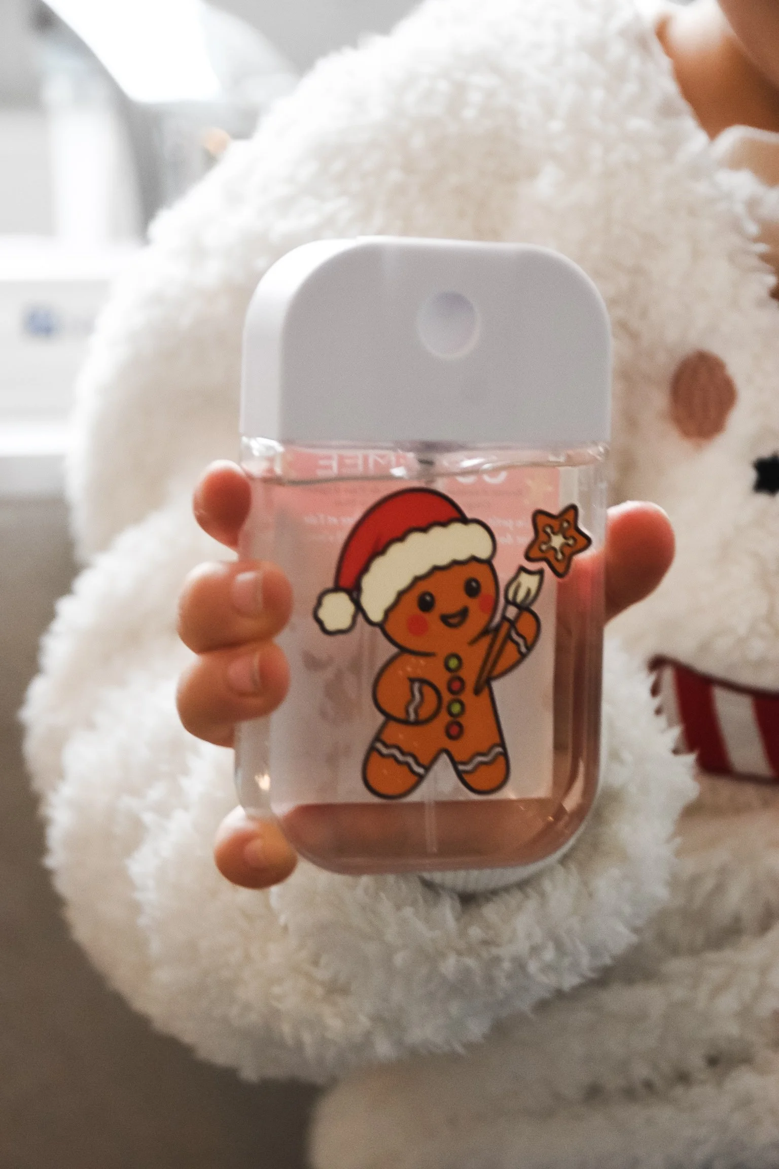 Pet de Biscuit de Noel GOMMEE 1.jpeg