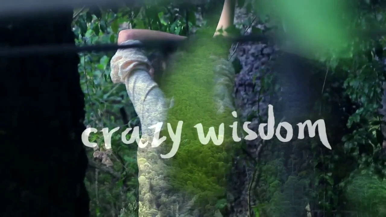 Crazy Wisdom | aLagarta #15