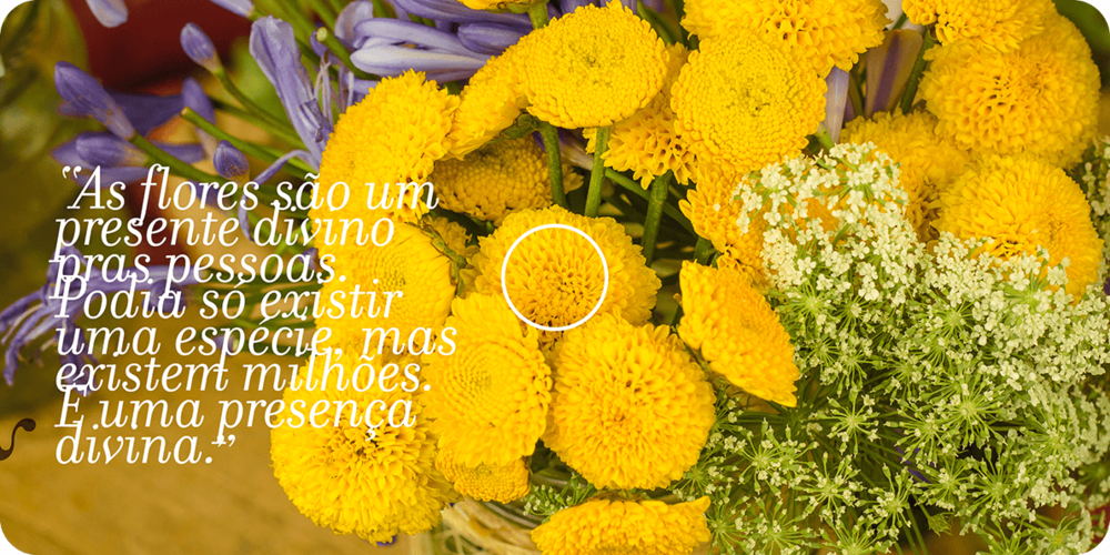 aLagarta_edicao18_09.png