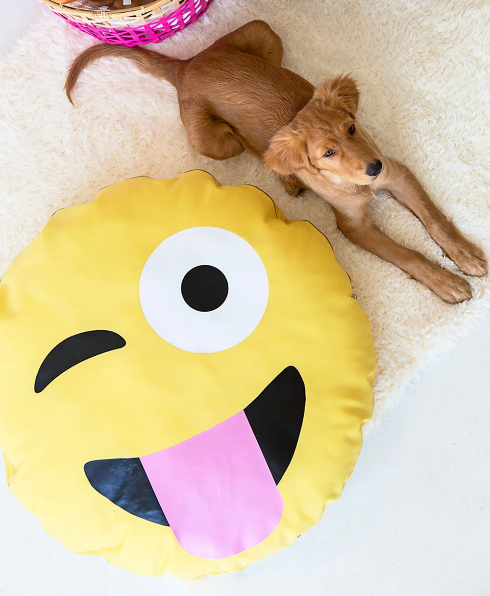 20161104_084728_LS_1104_pet-beds.jpg