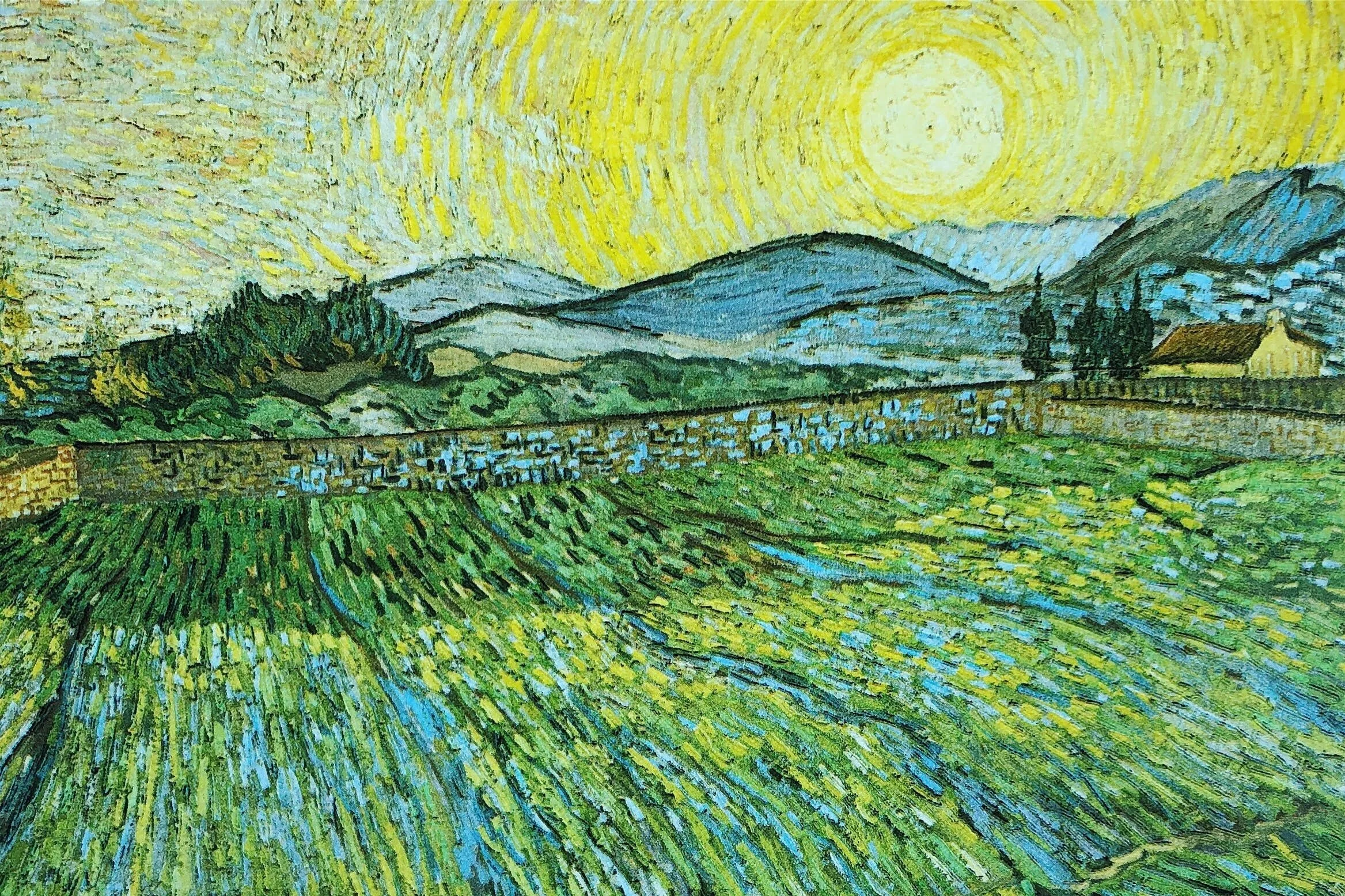terri+van+gogh.jpg