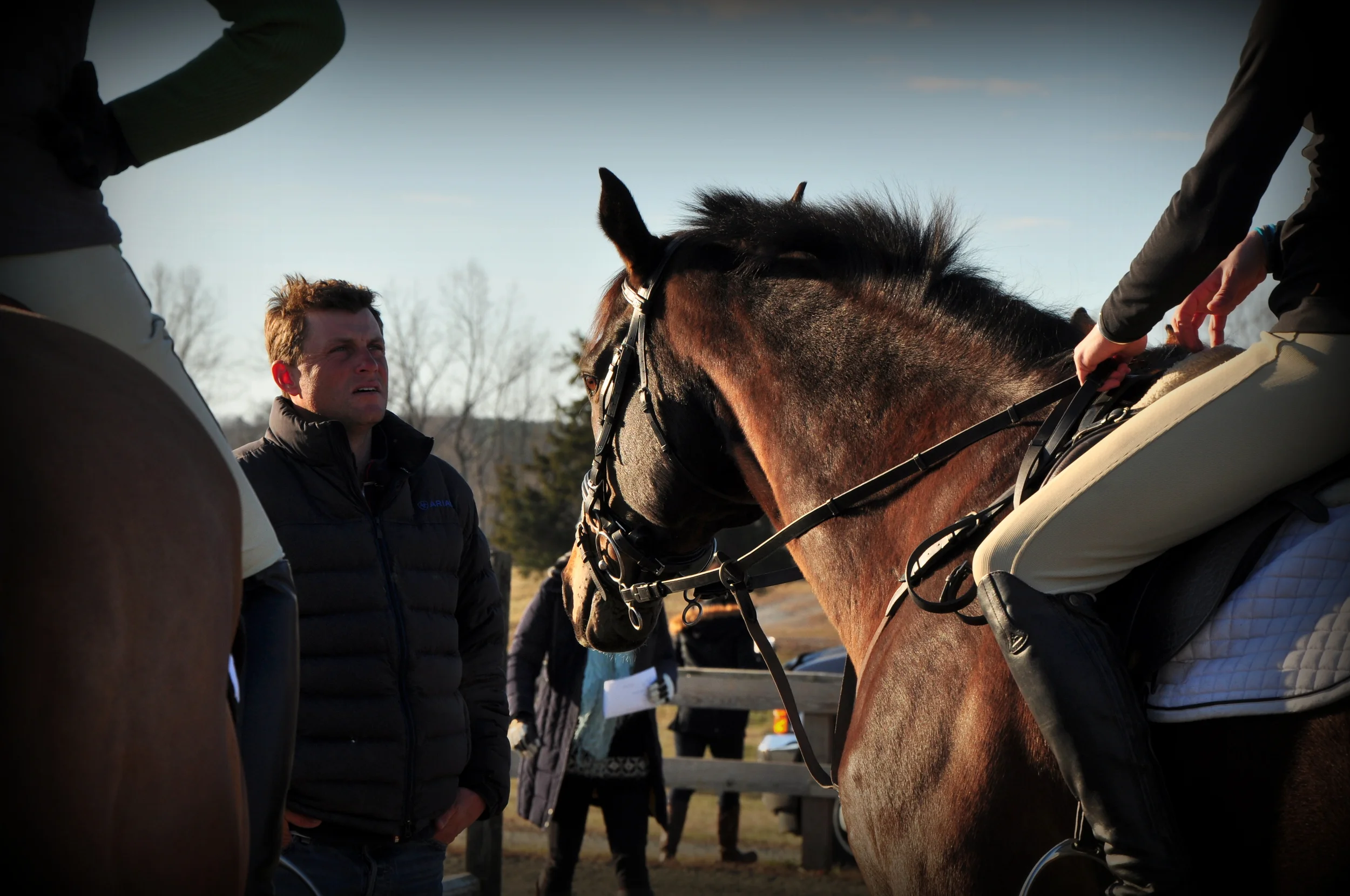 Discover Renovatio Farm — Renovatio Farm Equestrian Horse Boarding