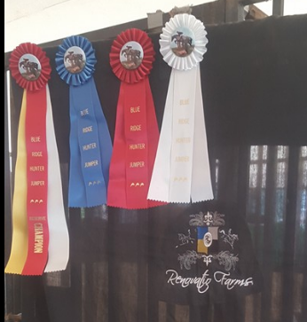 By My Side aka "Bayou" went straight from being the big winner at the TIEC dressage show 2 weeks ago to stepping into the hunter ring for the first time and ending up reserve champion...