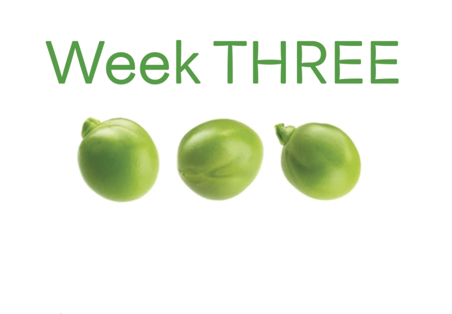 Screenshot 2024-12-12 at 3.49.35 PM.png