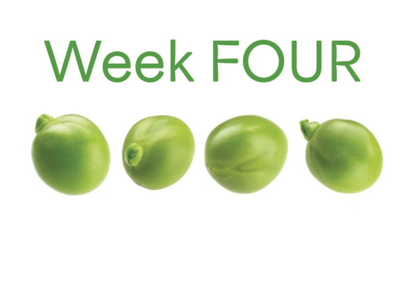 Screenshot 2024-12-12 at 3.47.31 PM.png