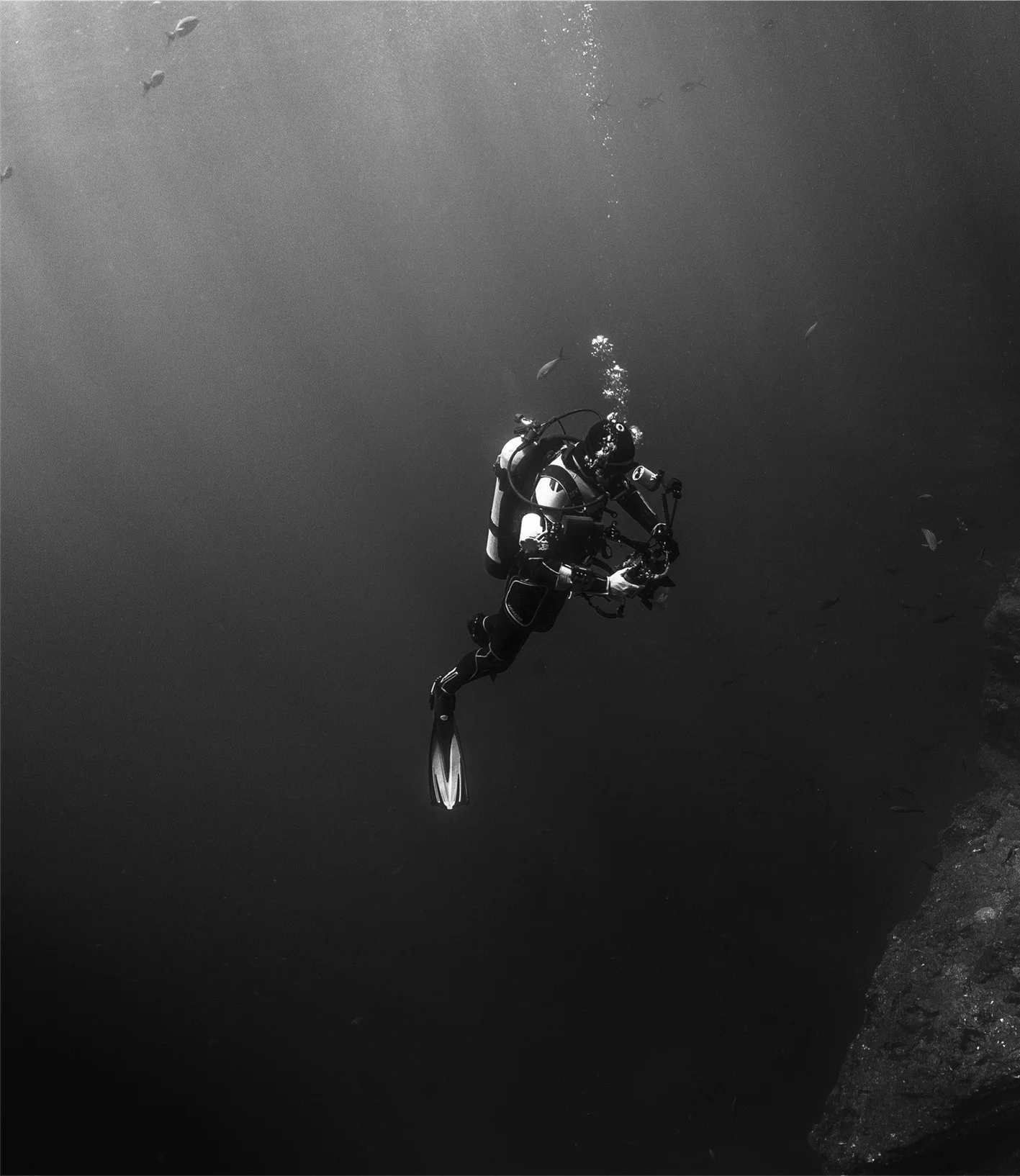 diver.jpg