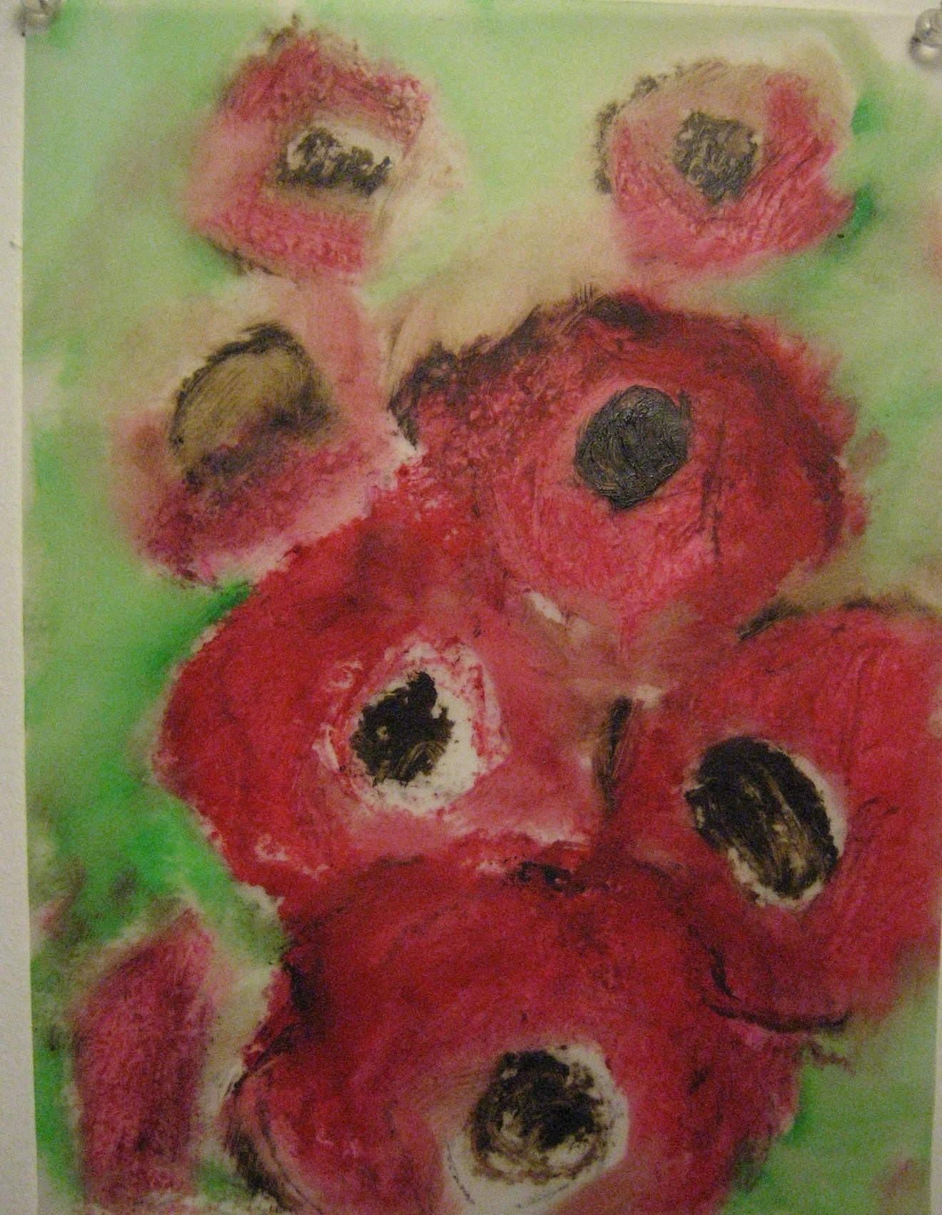 Anemone: 24