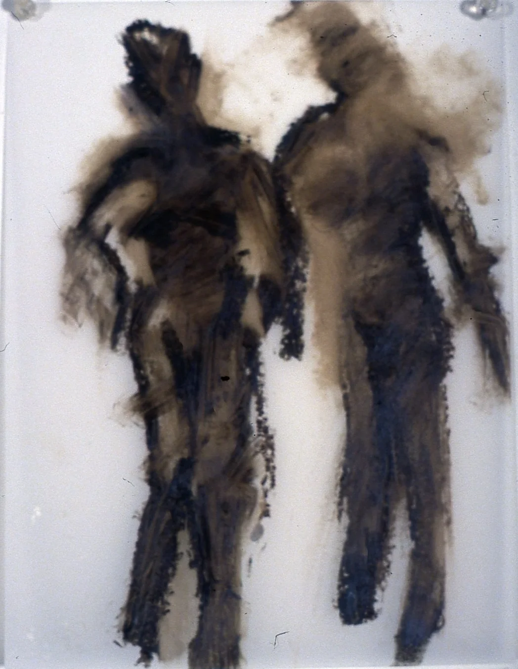 Venus series: Catwalk #22