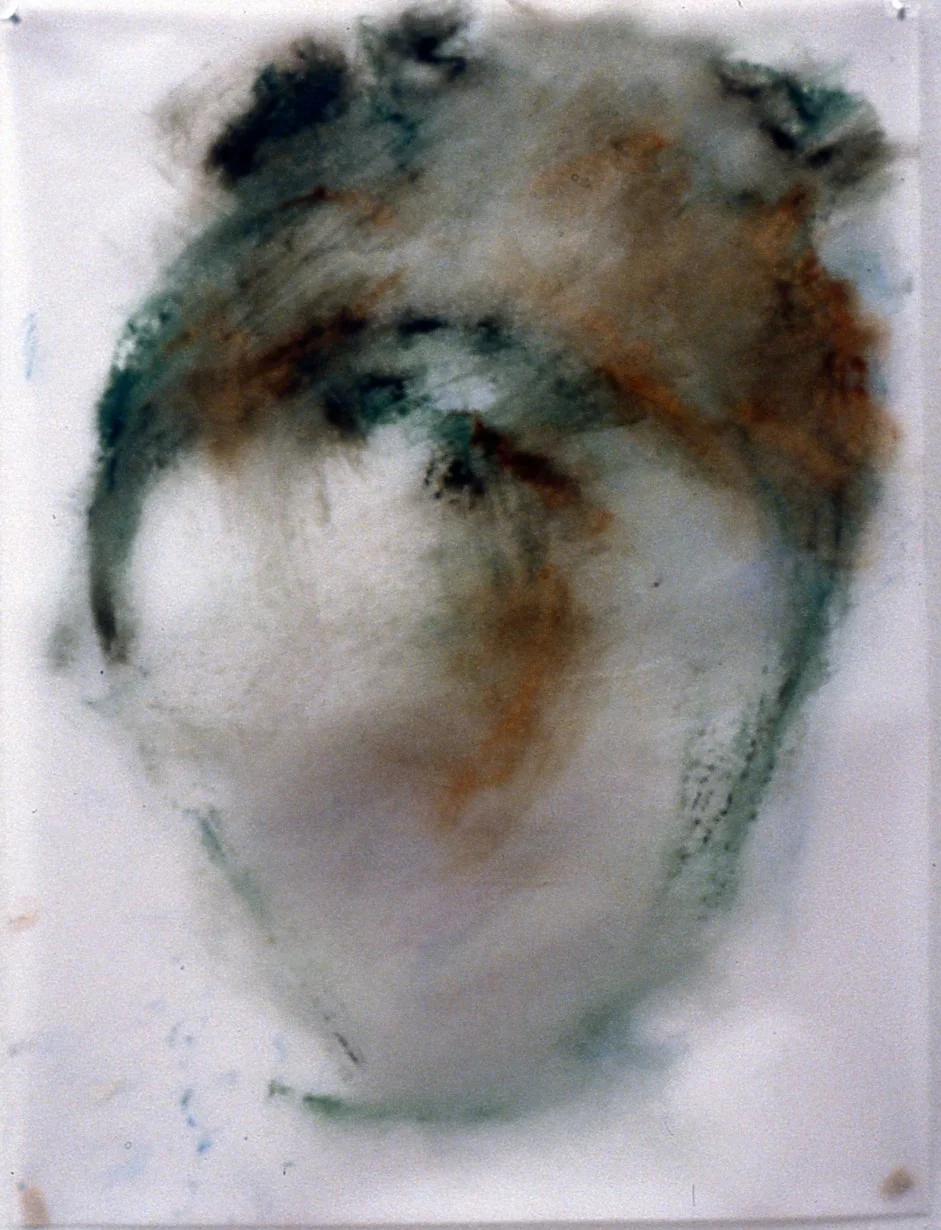 Heart Murmur #5