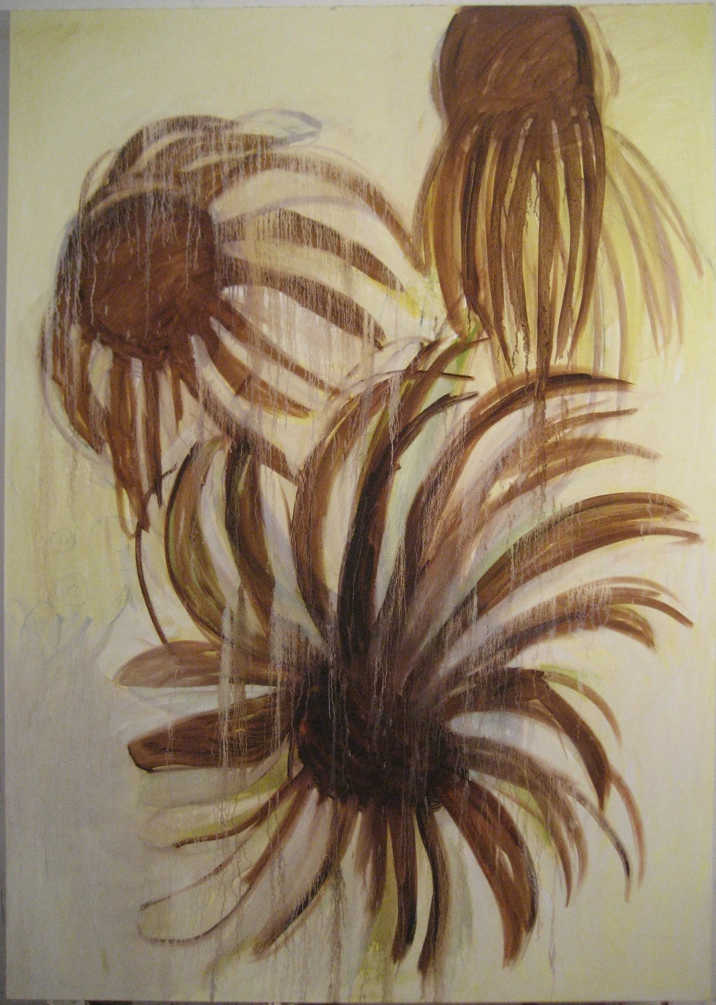 Sunflower Daisy