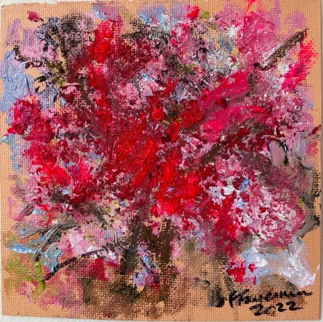 Cherry Blossoms 5-2