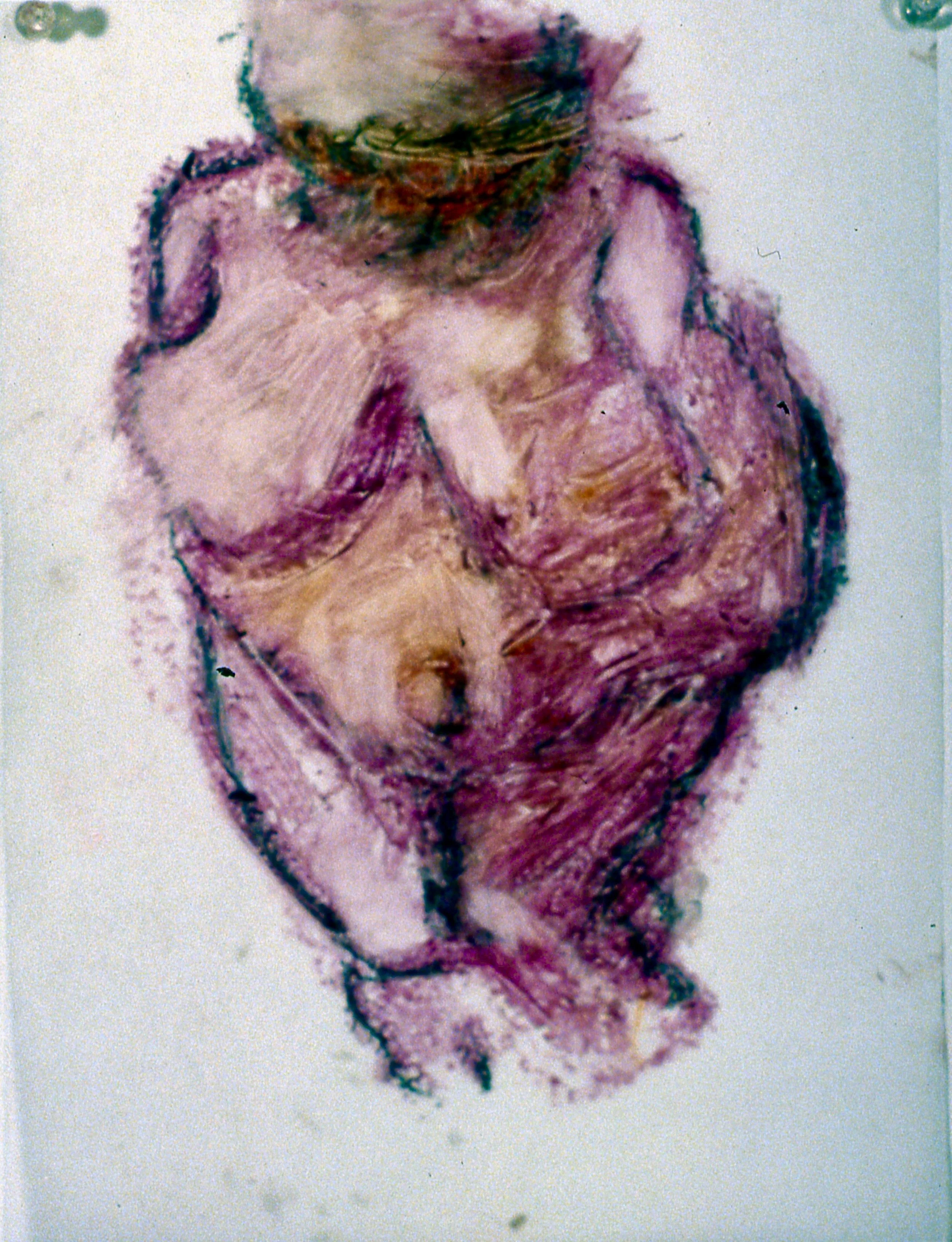 Venus of Willendorf #6