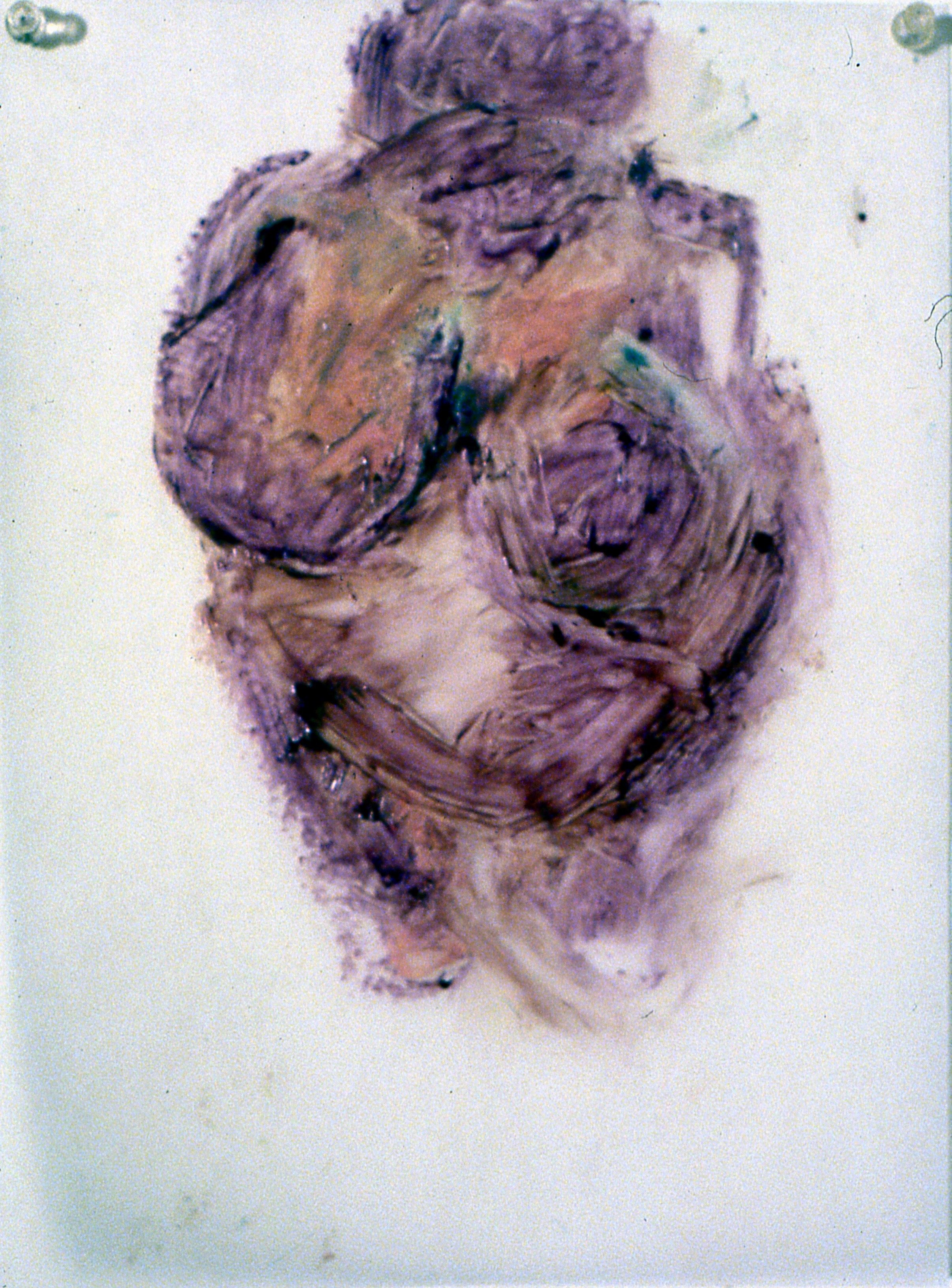 Venus of Willendorf #46