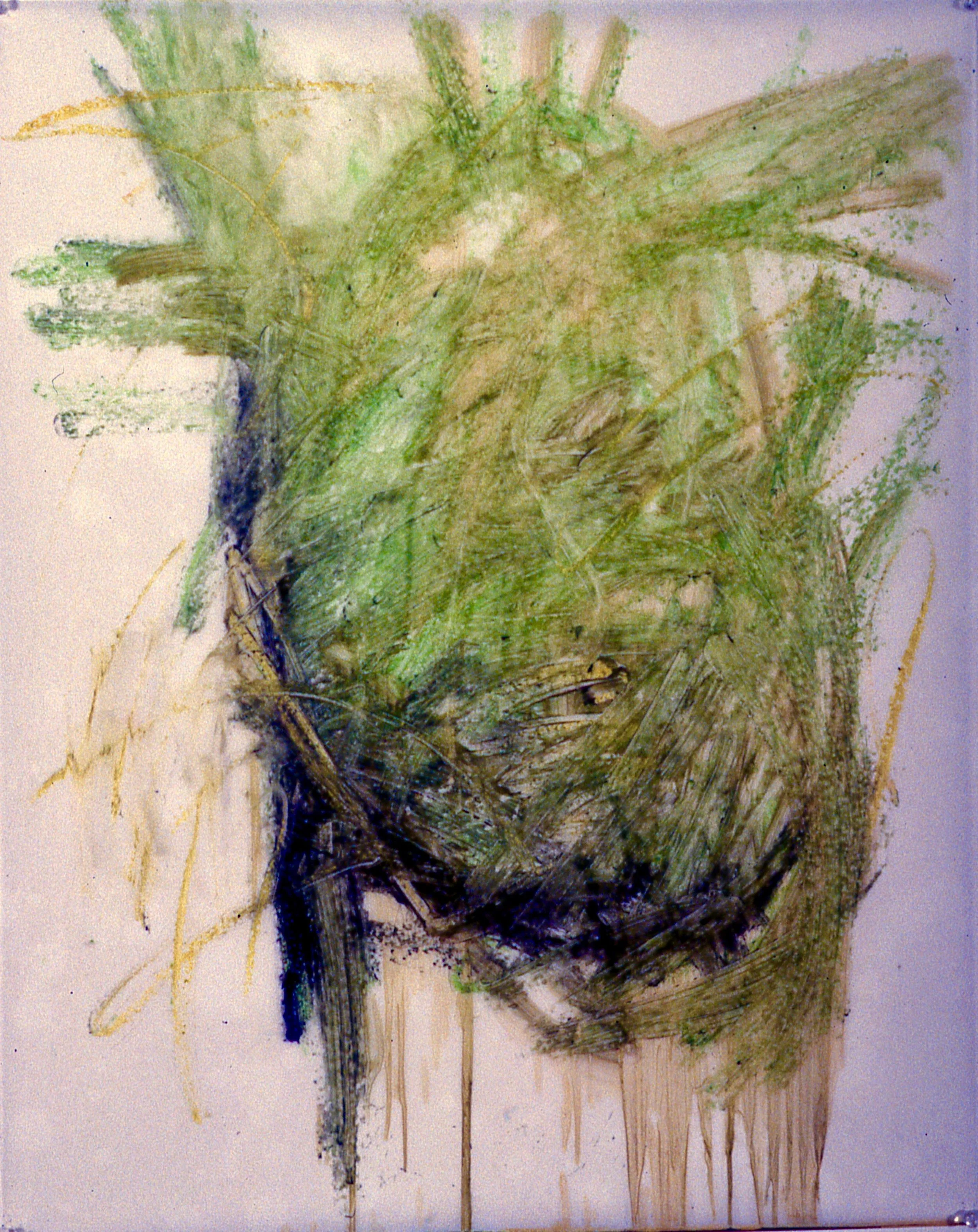 Anterior Green Heart