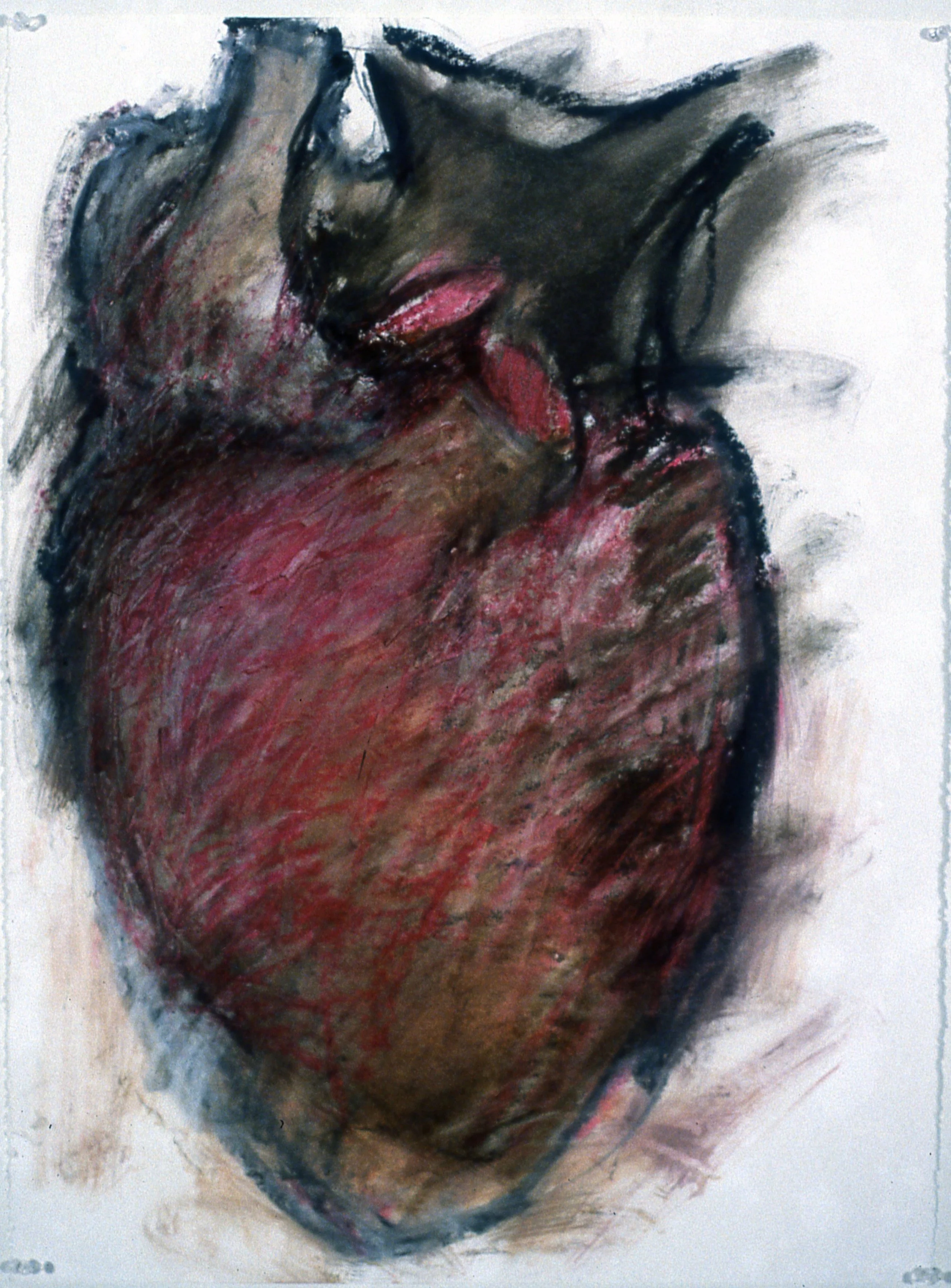 Battement de coeur #1