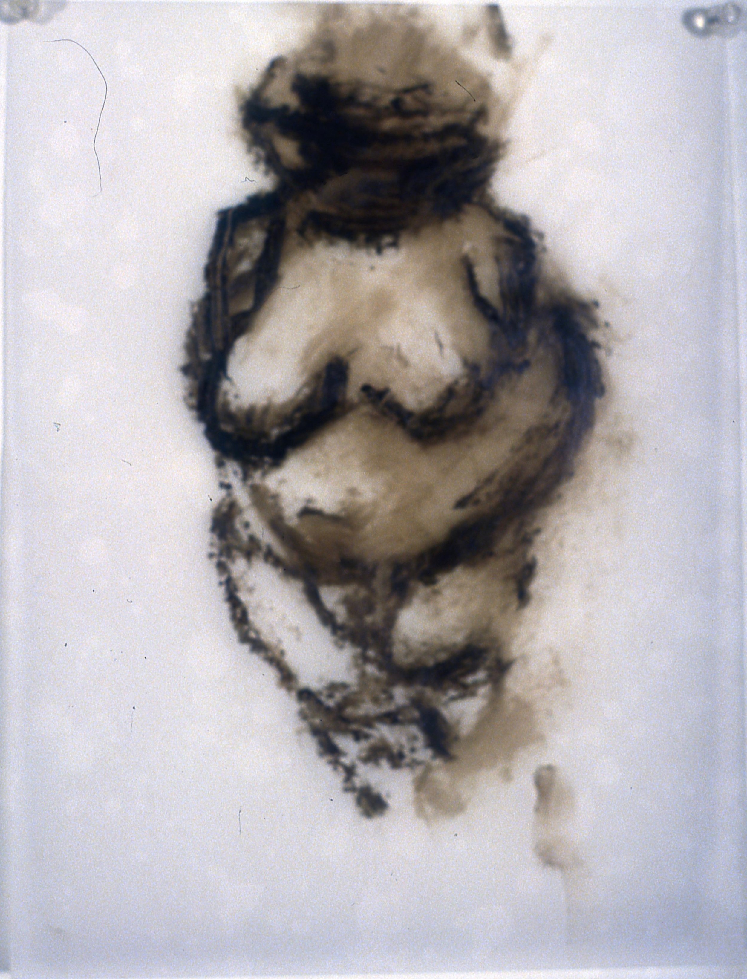 Venus of Willendorf #4