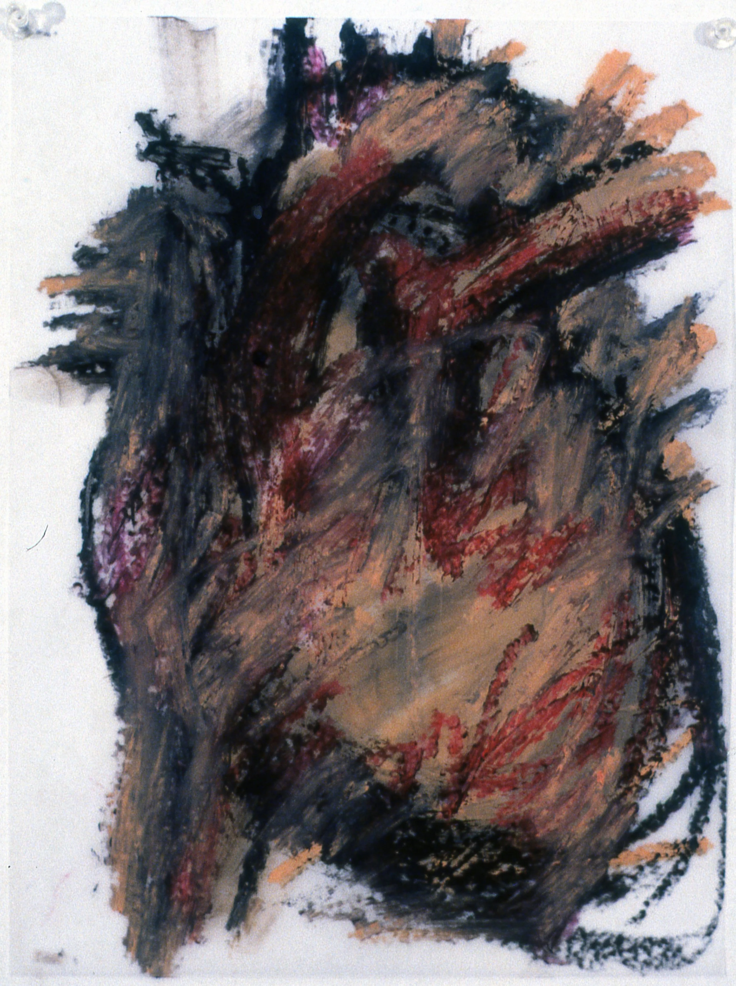 Anterior Heart #8