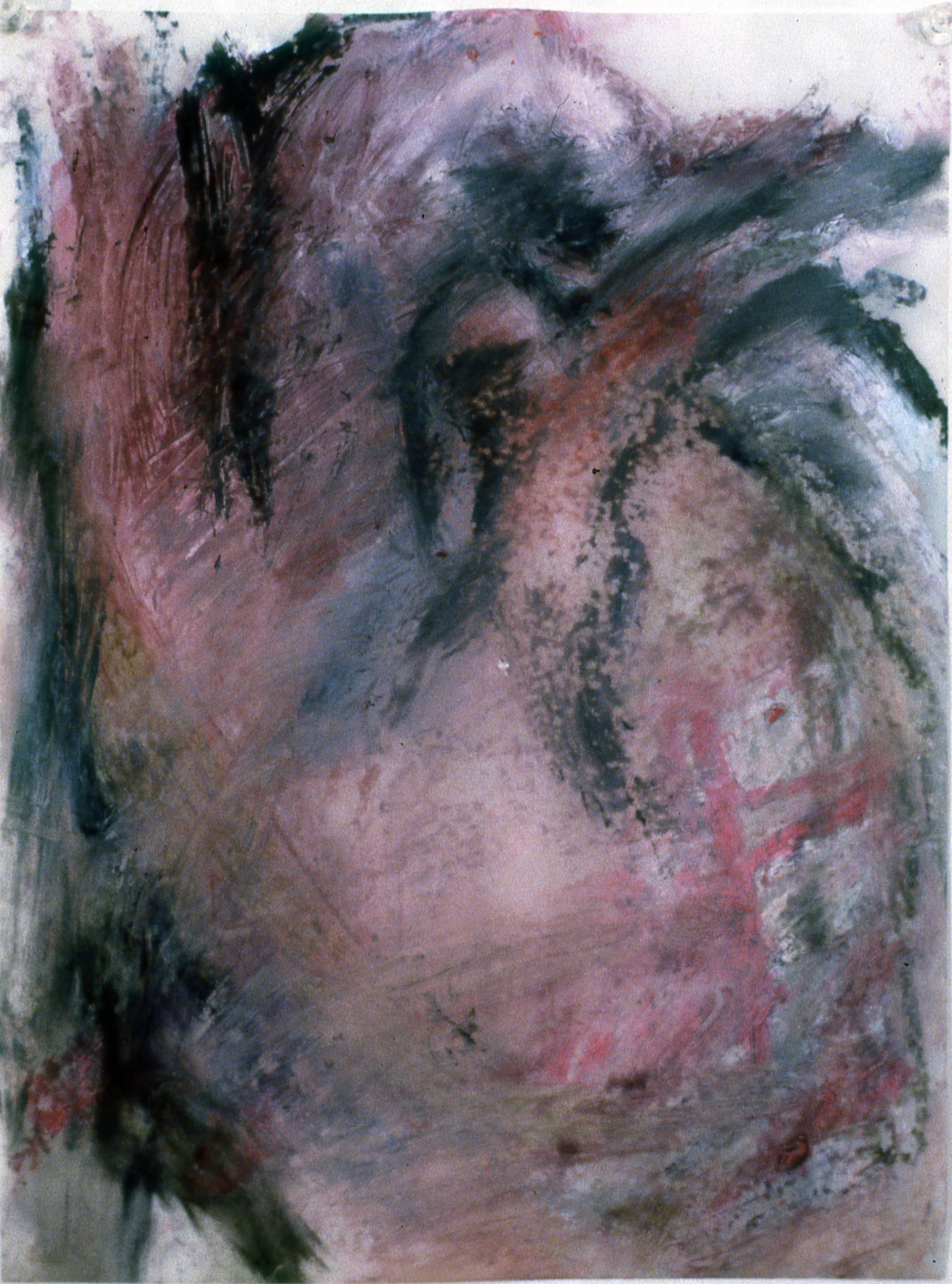 Anterior Heart #4