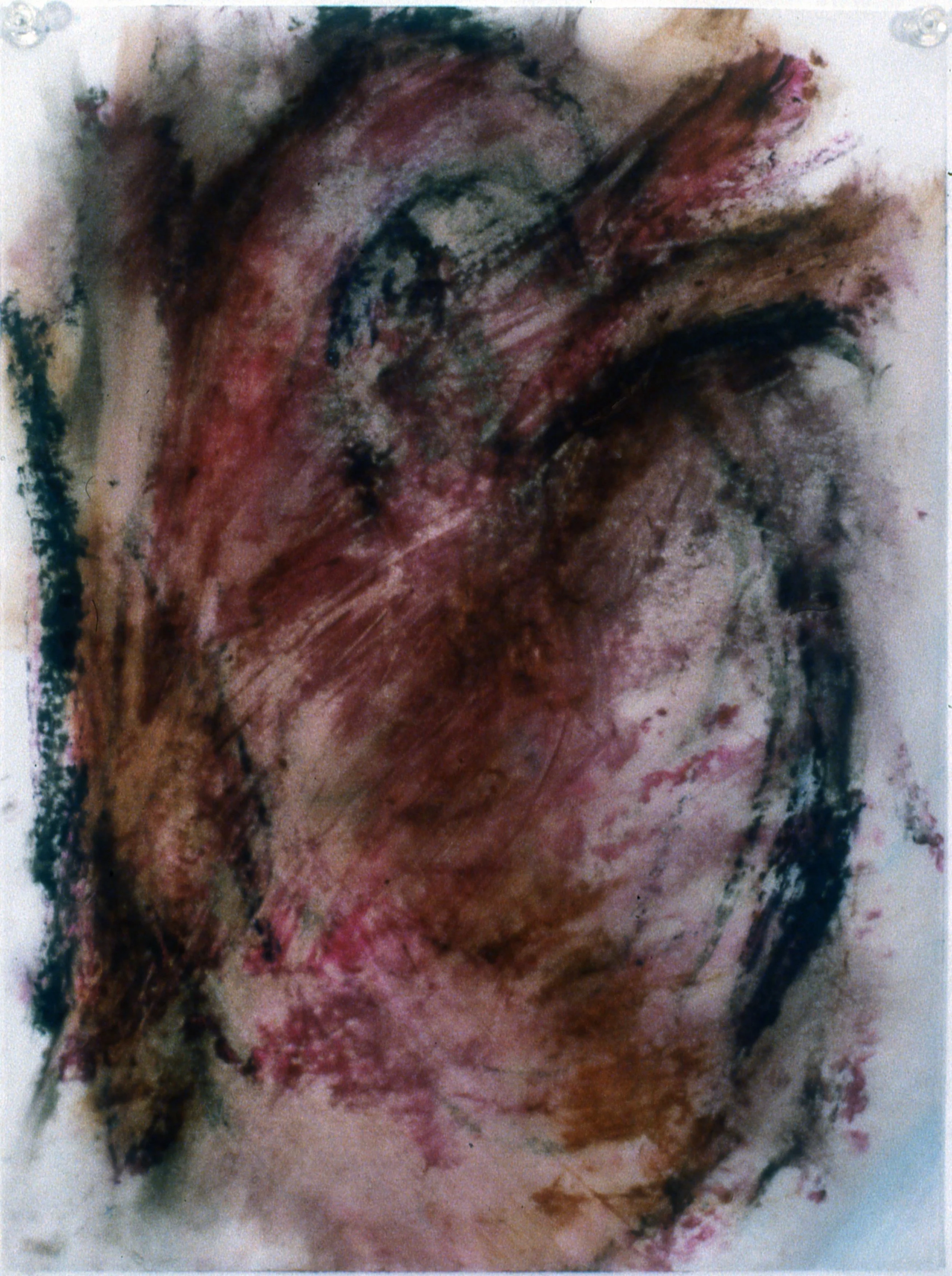 Anterior Heart #6