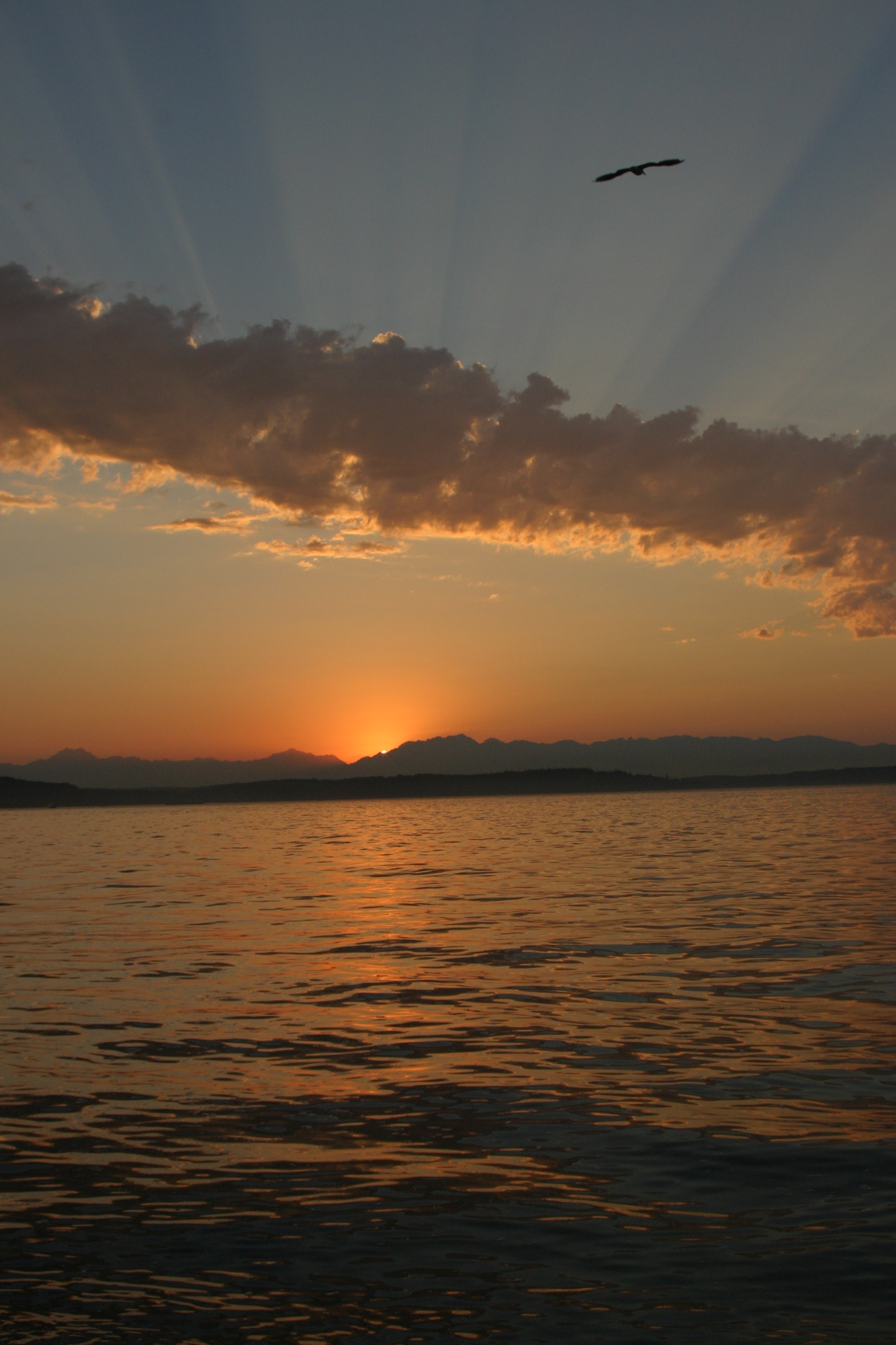 Alki Beach,           West Seattle