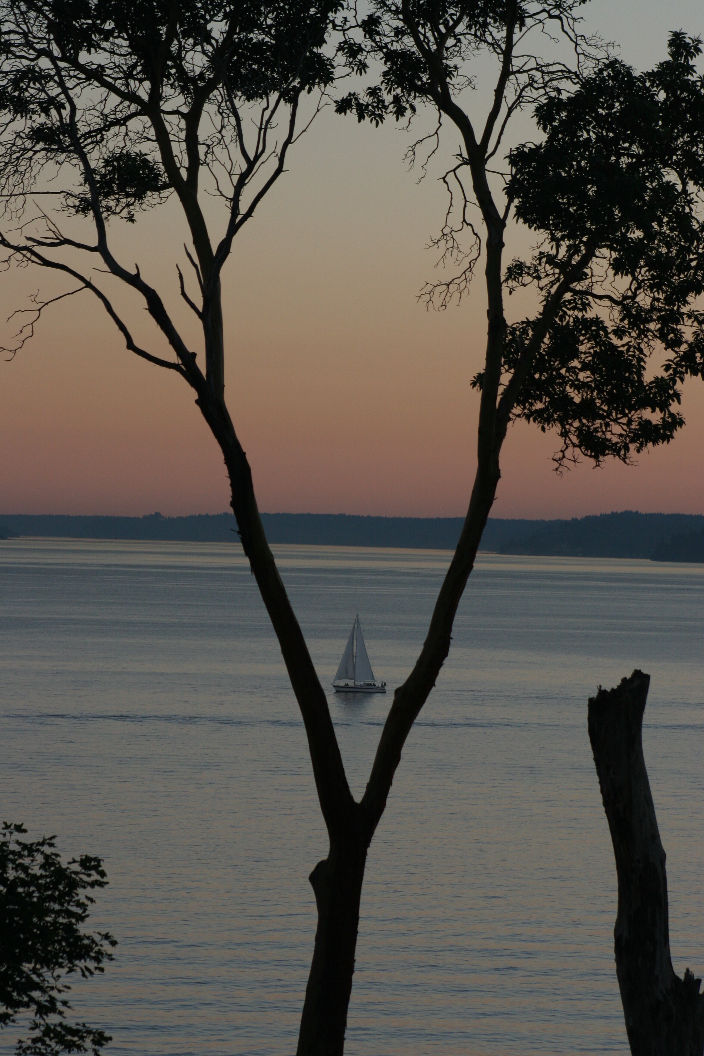 Perfect Timing in The Puget Sound from Magnolia neighborhood - Seattle