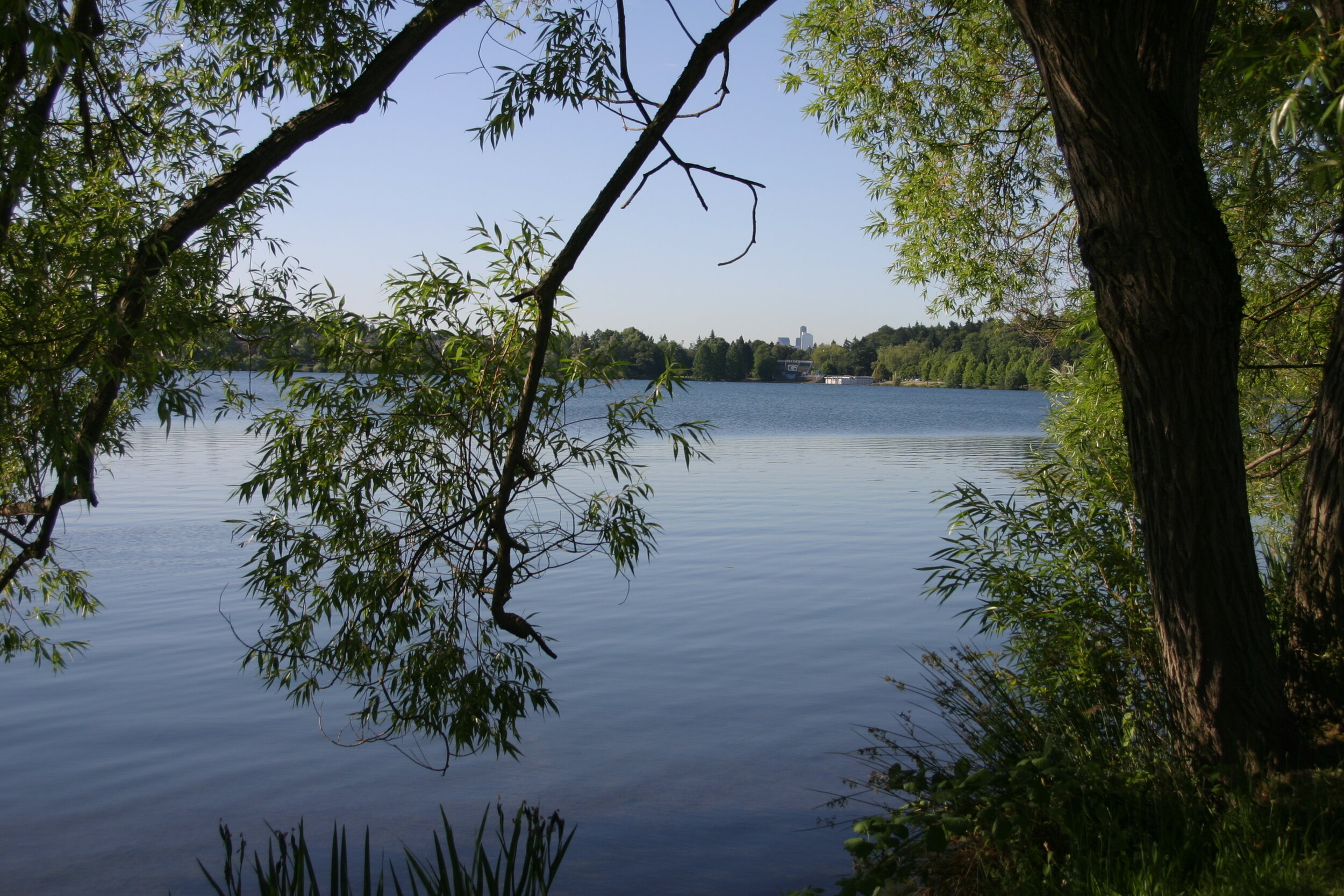 047 - Green Lake.jpg