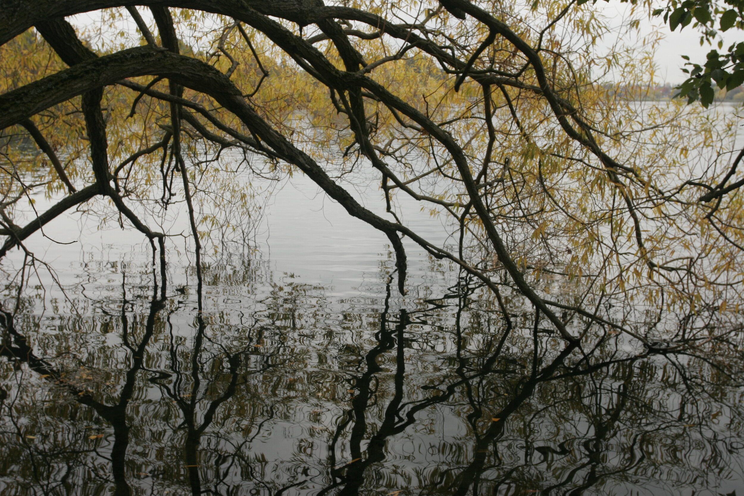 078 - Green Lake Reflection Abstract.JPG