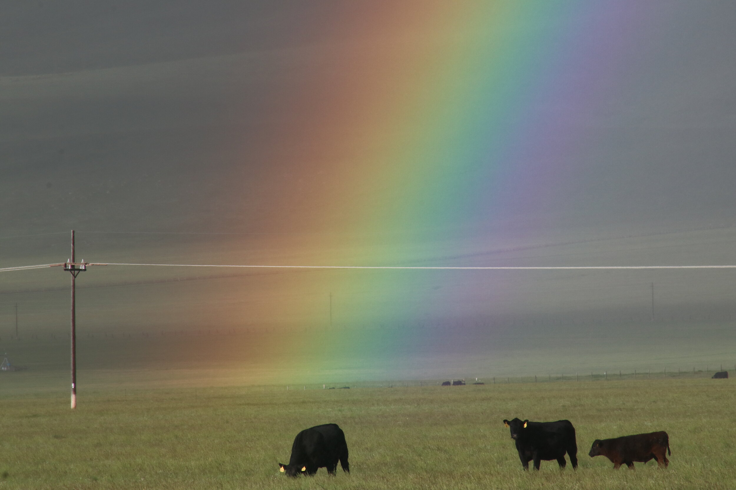 Rainbow in Montana Ranch Country 