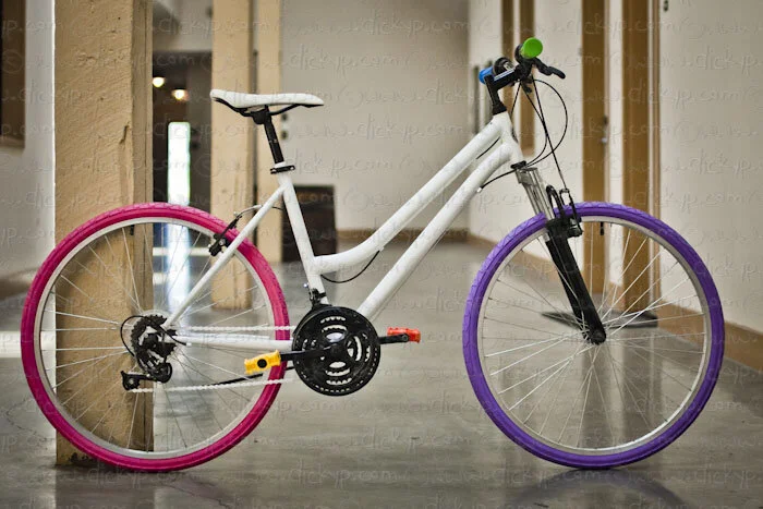 _MG_8391.jpg