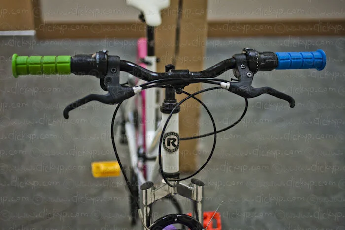 _MG_8395.jpg