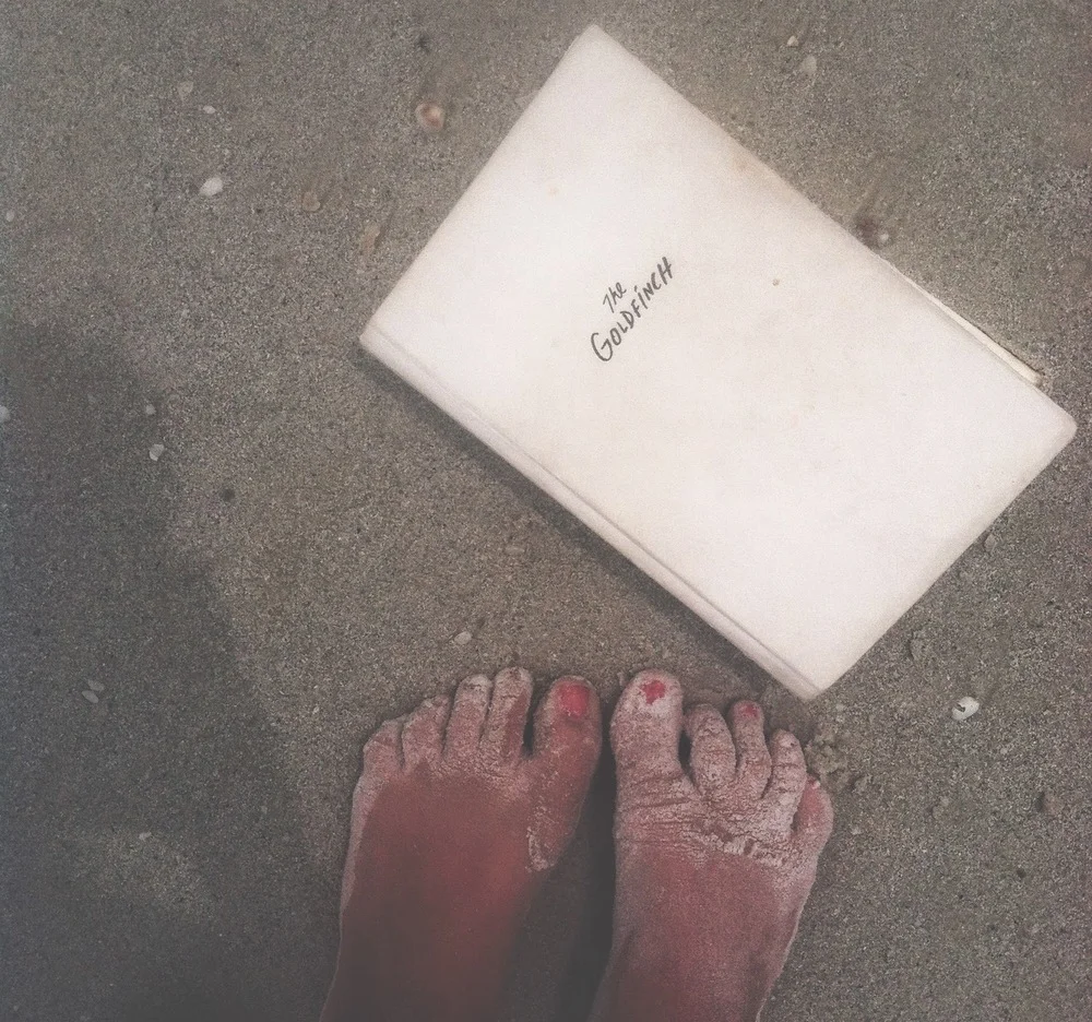 BOOK CLUB: THE GOLDFINCH