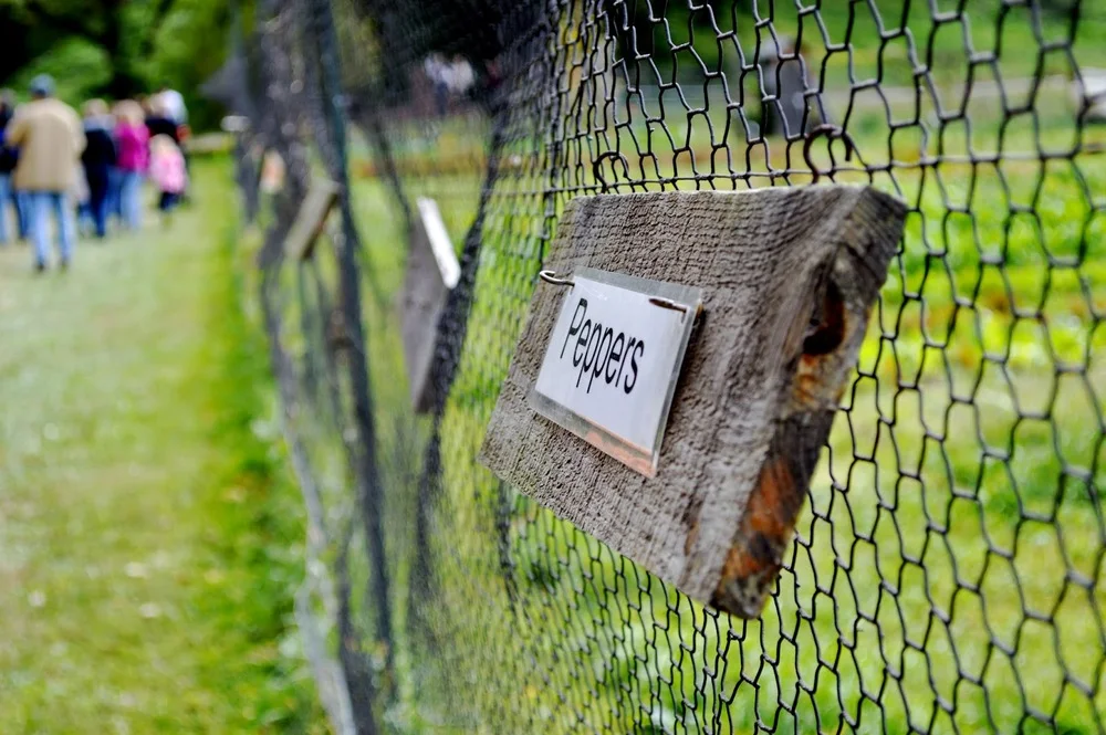 PHOTOS | GORMAN HERITAGE FARM 