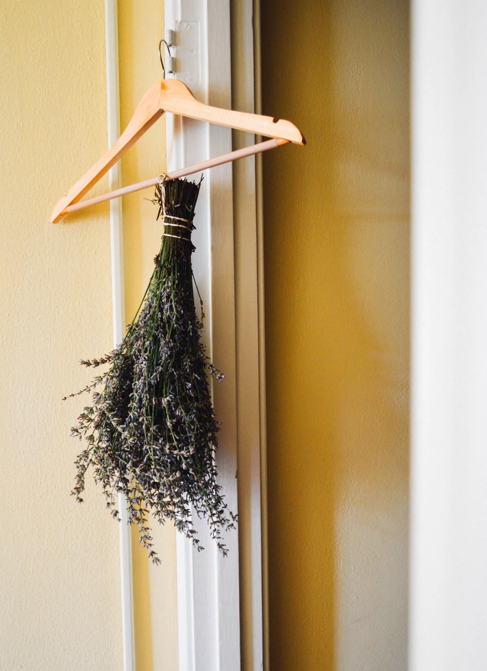 How to Dry Lavender