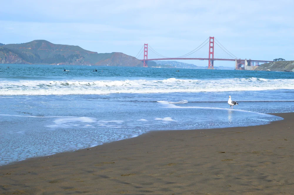 Questions from a 20-something: vol 3