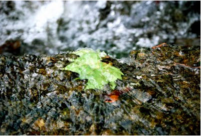 rain, rain