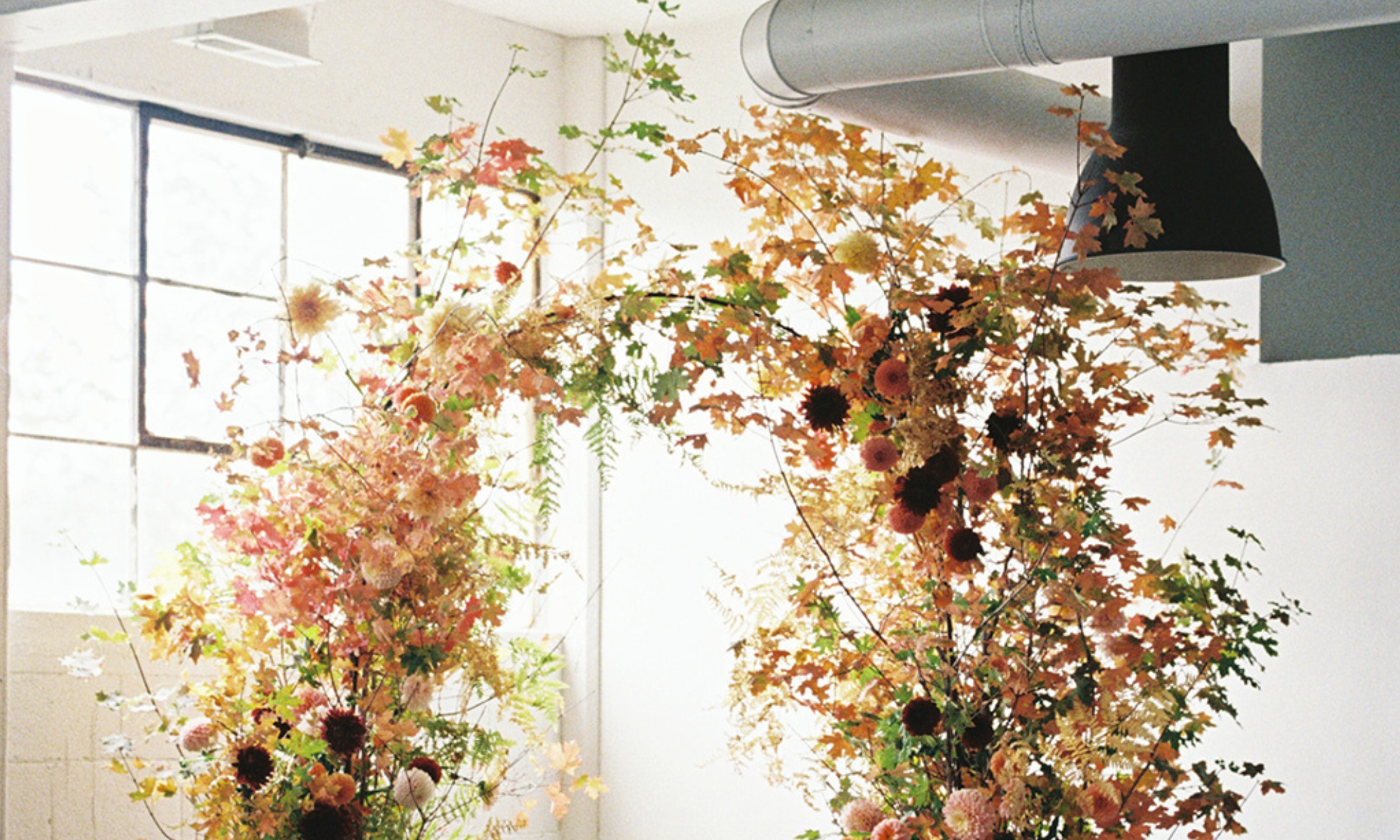 Untitled design (3).png