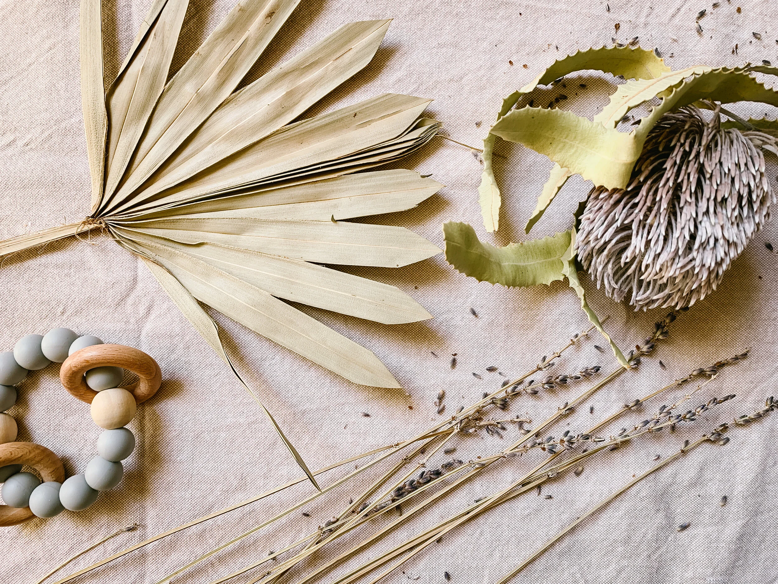 Team Update: Ida Blooms Baby Coming this August