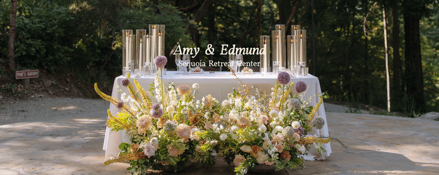 Website headers (13).png