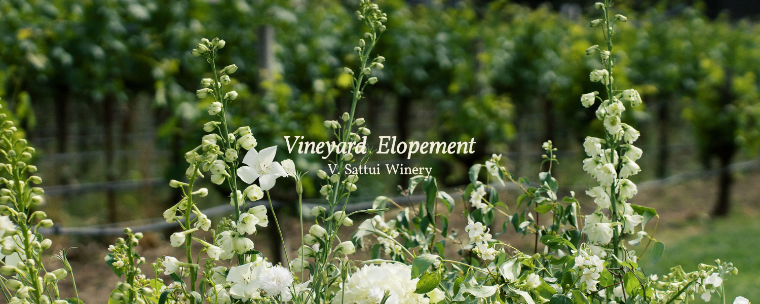 Website headers (20).png