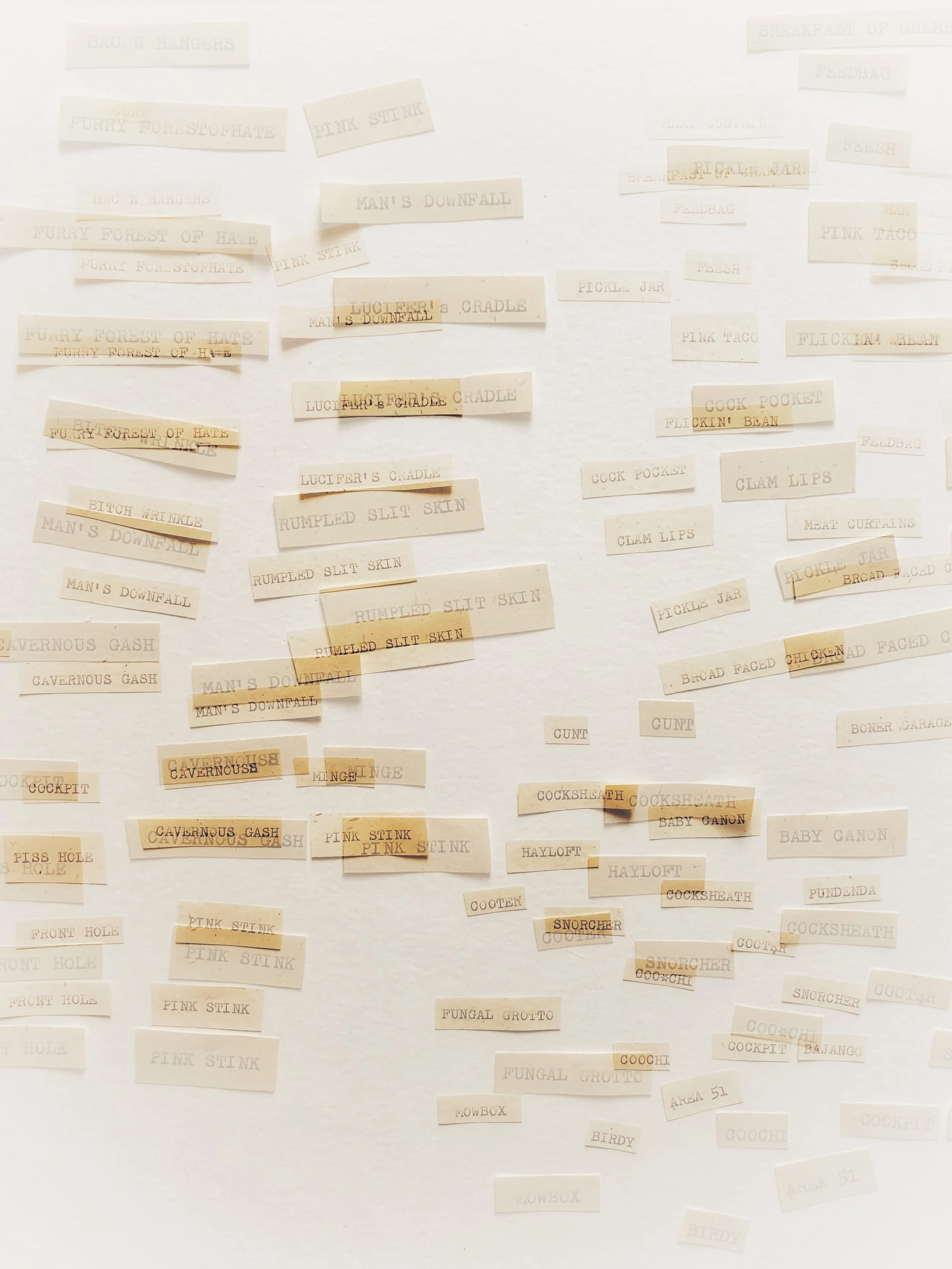 Etiologies of Misogyny No. 2