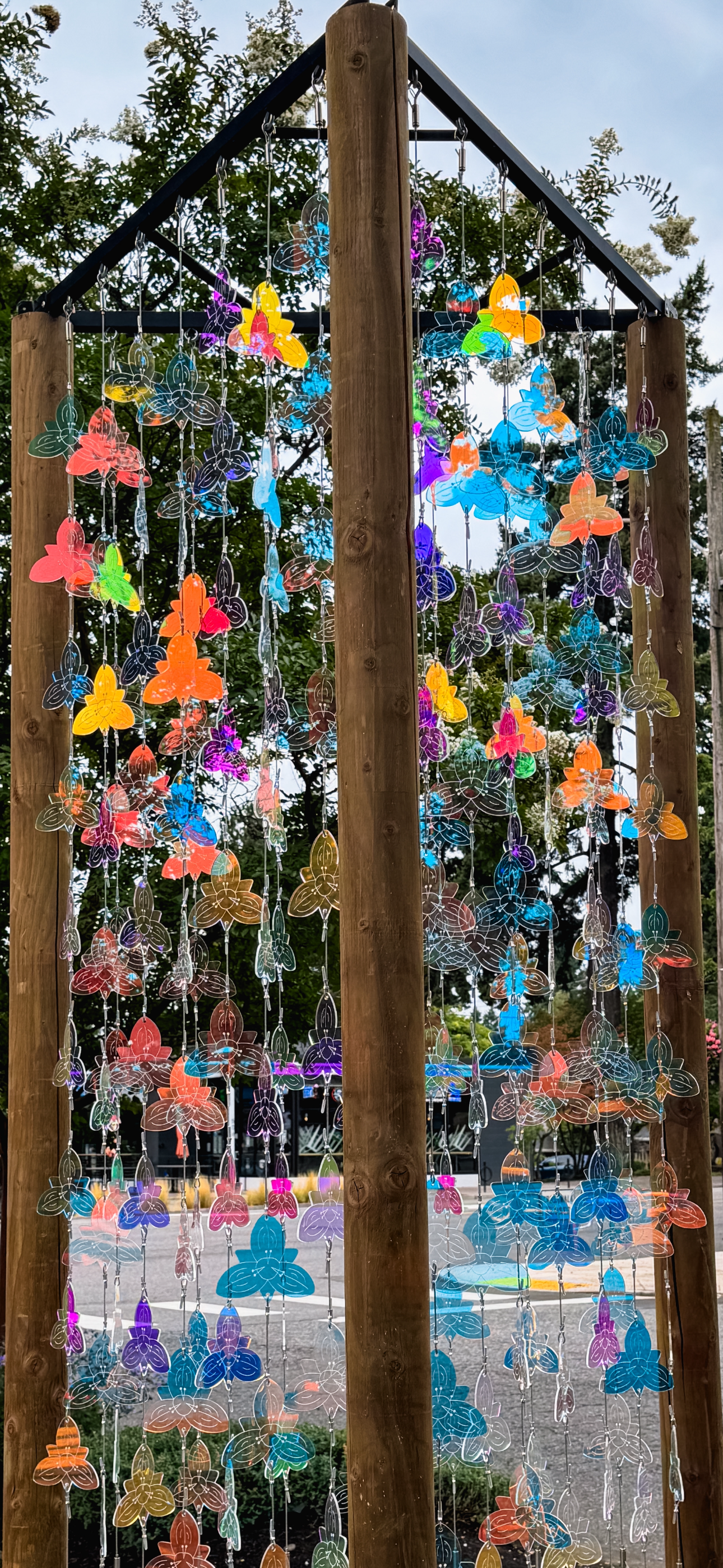IMG_4917.PNG