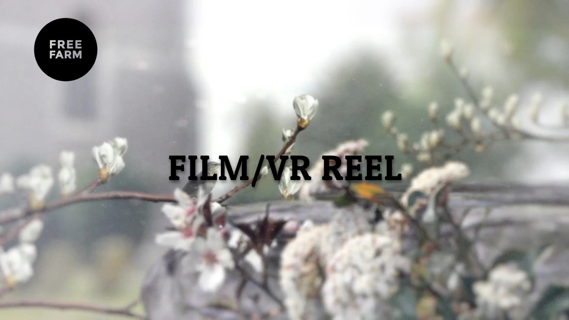 Film and VR reel cover.jpg