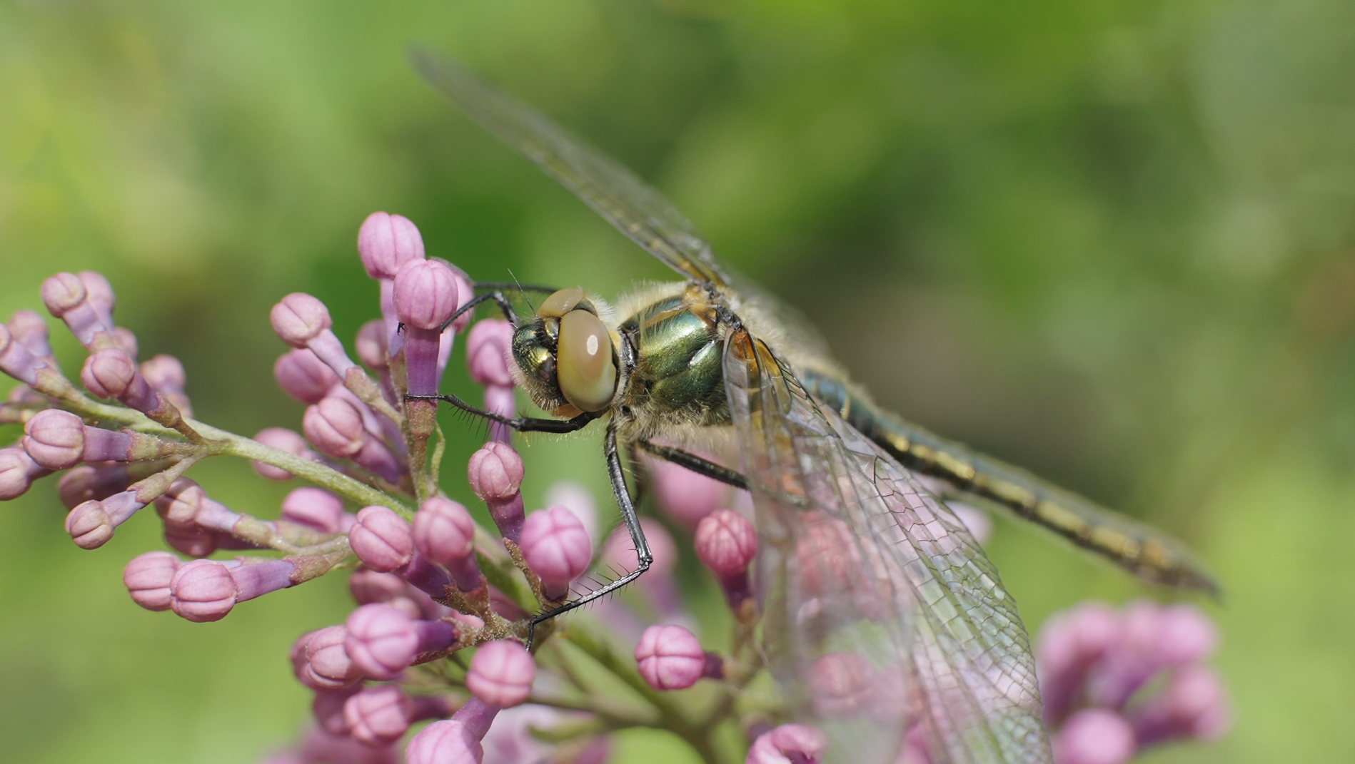 Screenshot 2025-11-26 at 10.15.41.png