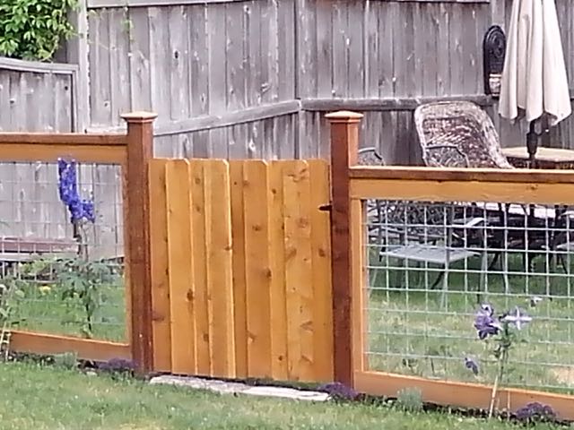 Mixed Material Fence IMG_20140610_094611.jpg