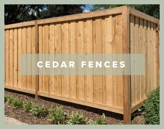 cedarFences.jpg