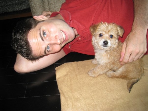  Paddington was so little as a puppy! 