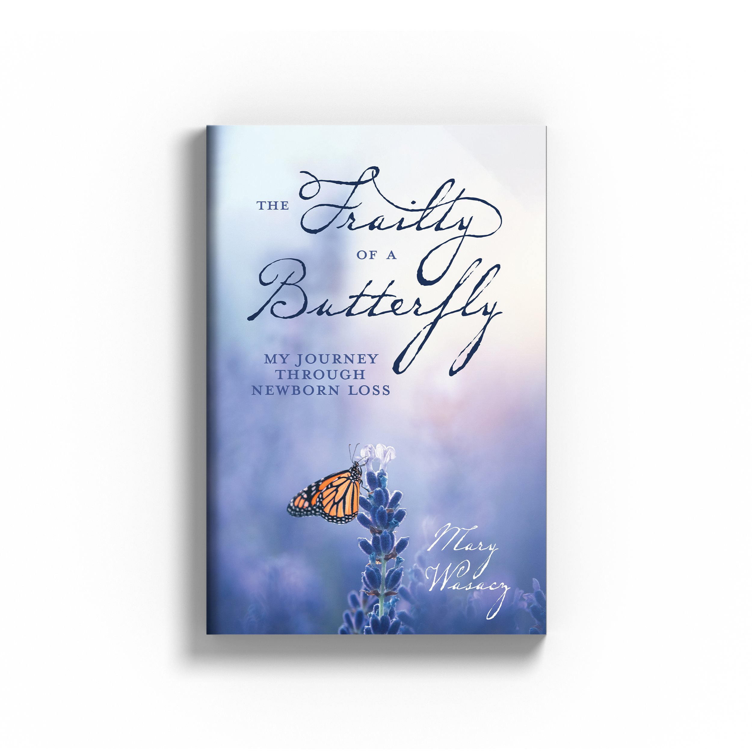 The Frailty of a Butterfly.jpg