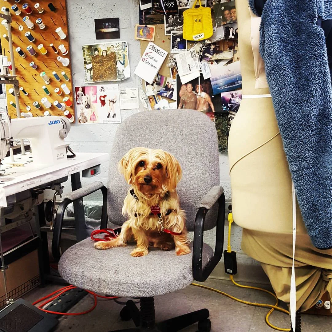 A visit to the Costume Shop with Lola the Wonder Pooch.