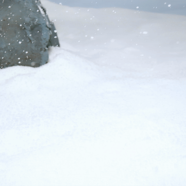 JIMMY CHOO CAPSULE COLLECTION STILL LIFE BAG